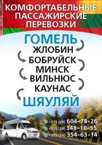 Гомель - Шауляй